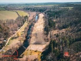 Prodej lesa, Plešnice, 4109 m2