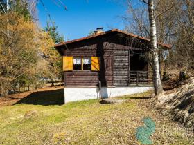 Prodej ubytování, Horní Planá, 374 m2