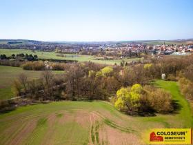 Prodej pozemku pro bydlení, Rousínov - Čechyně, 7787 m2