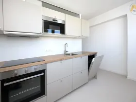 Pronájem bytu 2+1, Písek - Budějovické Předměstí, Dr. M. Horákové, 53 m2