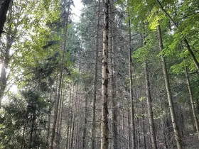 Prodej pozemku, Útěchov, 50152 m2