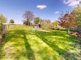Prodej zahrady, Litultovice, 884 m2