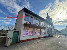 Prodej obchodního prostoru, Staré Město pod Landštejnem, 307 m2
