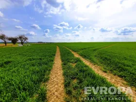 Prodej pole, Čistá, 27281 m2