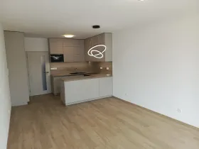 Pronájem bytu 2+kk, České Budějovice - České Budějovice 3, Riegrova, 64 m2