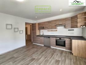 Pronájem bytu 2+kk, Přehýšov, 50 m2