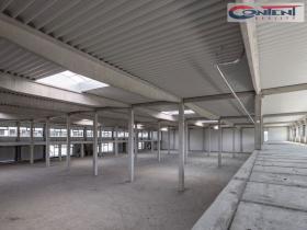 Pronájem výrobních prostor, Brno - Líšeň, Trnkova, 5000 m2