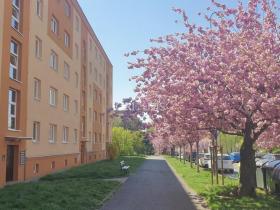 Prodej bytu 2+1, Most, Zdeňka Fibicha, 54 m2