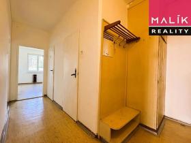 Prodej bytu 2+1, Ostrov, S. K. Neumanna, 56 m2