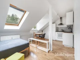 Pronájem bytu 1+kk, Praha - Smíchov, Holečkova, 35 m2