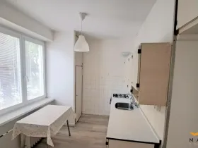 Pronájem bytu 3+1, Brno - Staré Brno, Rybářská, 66 m2