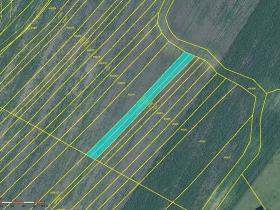 Prodej pole, Moravská Nová Ves, 952 m2
