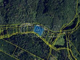 Prodej lesa, Lelekovice, 2035 m2