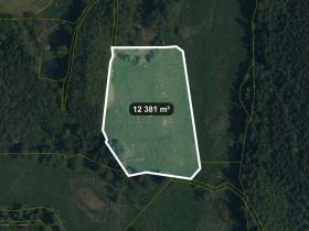 Prodej pole, Lom u Tachova, 12381 m2