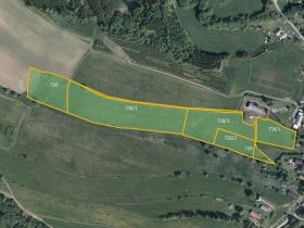 Prodej louky, Vysoká Srbská, 43429 m2