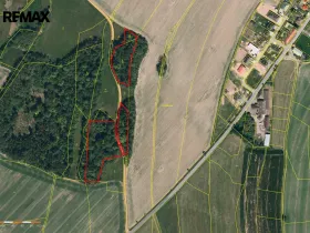 Prodej lesa, Spálov, 25088 m2