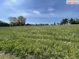 Prodej louky, Nalžovice - Nalžovické Podhájí, 3932 m2