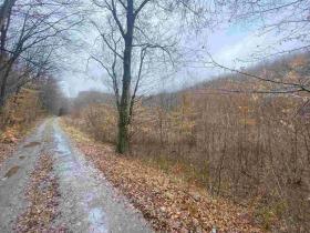 Prodej pole, Ždánice, 3207 m2