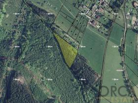 Prodej podílu lesa, Ústí nad Orlicí, 2174 m2