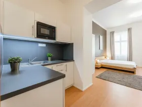 Pronájem bytu 1+kk, Praha - Žižkov, Chlumova, 35 m2