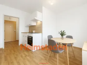Pronájem bytu 1+1, Karviná - Nové Město, Jaroslava Vrchlického, 39 m2