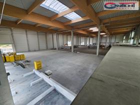 Pronájem skladu, Ostrava - Hrabová, Krmelínská, 460 m2