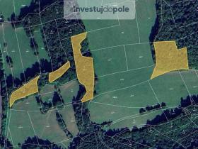 Prodej lesa, Valašská Polanka, 15391 m2