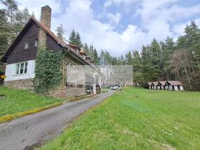 Prodej vícegeneračního domu, Zbytiny - Blažejovice, 453 m2