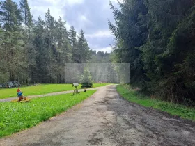 Prodej vícegeneračního domu, Zbytiny - Blažejovice, 453 m2