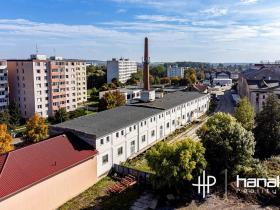 Prodej skladu, Olomouc, U cukrovaru, 964 m2