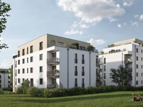 Prodej bytu 2+kk, Rychnov nad Kněžnou, Mírová, 46 m2