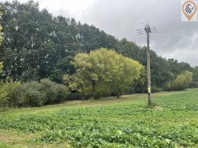 Prodej pole, Úhonice, 7001 m2