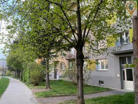 Prodej bytu 3+1, Praha, Senohrabská, 73 m2