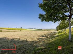 Prodej pozemku pro bydlení, Olešenka, 3221 m2