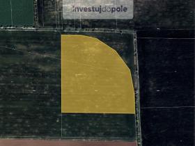 Prodej pole, Holubice - Kozinec, 10992 m2