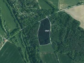 Prodej lesa, Římov, 34065 m2