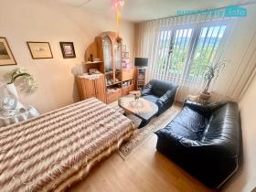 Prodej bytu 1+1, Sokolov, Gagarinova, 35 m2