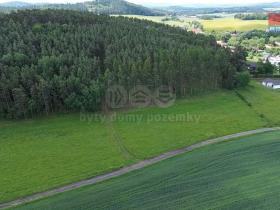 Prodej lesa, Chotilsko - Prostřední Lhota, 3372 m2