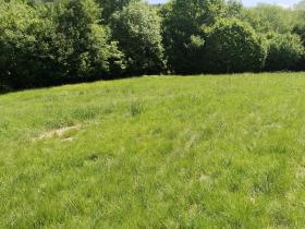 Prodej pozemku pro bydlení, Dlouhá Ves, 1876 m2