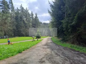 Prodej ubytování, Zbytiny - Blažejovice, 453 m2