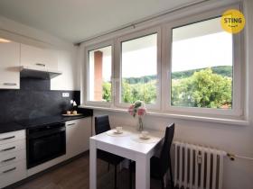 Pronájem bytu 1+1, Zlín, Díly IV, 29 m2