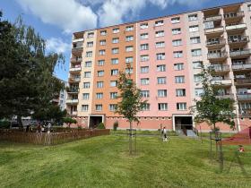 Prodej bytu 1+1, Sušice, Sirkařská, 37 m2