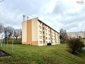 Prodej bytu 2+1, Meziboří, J. A. Komenského, 44 m2