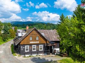 Prodej ubytování, Rokytnice nad Jizerou - Horní Rokytnice, 374 m2