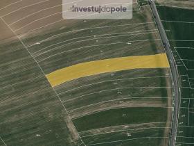 Prodej pole, Říčany, 7280 m2
