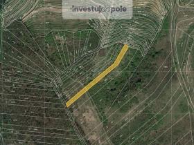 Prodej pole, Hustopeče, 1770 m2