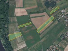 Prodej pole, Vědomice, 45772 m2