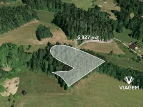 Prodej podílu lesa, Plavy, 865 m2