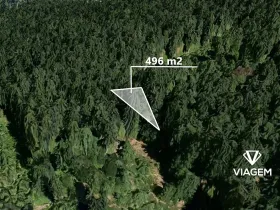 Prodej lesa, Velké Hamry, 496 m2