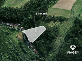 Prodej lesa, Letovice, 3104 m2